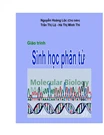 Book's cover